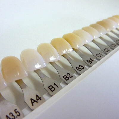 Dental shade guide with many colors for dental technician and dentist